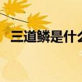 三道鳞是什么鱼有毒吗（三道鳞有没有毒）