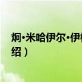 炯·米哈伊尔·伊格纳托夫（关于炯·米哈伊尔·伊格纳托夫介绍）