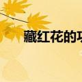 藏红花的功效（你知道有哪些作用吗）