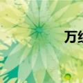 万组词（万组词有哪些）