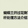 蝴蝶兰开过花剩下的花杆怎么处理（蝴蝶兰开过花剩下的花杆处理方法介绍）