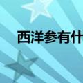西洋参有什么功效（西洋参的作用介绍）