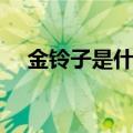 金铃子是什么昆虫（金铃子长什么样子）