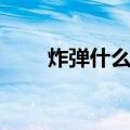 炸弹什么兽（关于炸弹什么兽介绍）