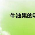 牛油果的功效与作用（牛油果是什么）