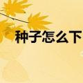种子怎么下（电脑如何下载BT种子文件）