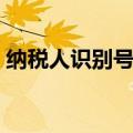 纳税人识别号怎么查（纳税人识别号如何查）