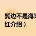 鬓边不是海棠红是不是抗战片（鬓边不是海棠红介绍）