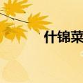 什锦菜的做法（怎样做什锦菜）
