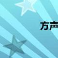 方声远（关于方声远简介）