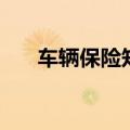 车辆保险知识（有关保险的知识介绍）