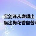 宝剑锋从磨砺出（梅花香自苦寒来意思 如何分析宝剑锋从磨砺出梅花香自苦寒）