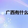 广西有什么特产（味甜多汁的灵山荔枝）