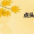 点头菊（关于点头菊介绍）