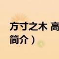 方寸之木 高于岑楼（关于方寸之木 高于岑楼简介）