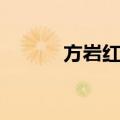 方岩红橘（关于方岩红橘简介）