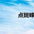 点斑蜂鸟（关于点斑蜂鸟介绍）