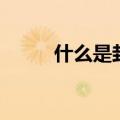 什么是封闭基金（关于封闭基金）