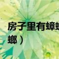 房子里有蟑螂怎么去除（怎么消灭屋子里的蟑螂）