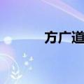 方广道人（关于方广道人简介）