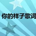 你的样子歌词（罗大佑演唱的你的样子歌词）