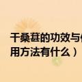 干桑葚的功效与作用及食用方法（干桑葚的功效与作用及食用方法有什么）