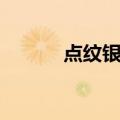 点纹银鮈（关于点纹银鮈介绍）