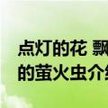 点灯的花 飘零的萤火虫（关于点灯的花 飘零的萤火虫介绍）