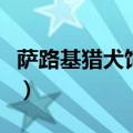 萨路基猎犬饲养方法（萨路基猎犬的饲养方法）
