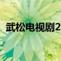武松电视剧2013版剧情（讲的是什么故事）