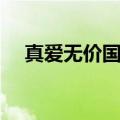 真爱无价国语版剧情（讲的是什么故事）