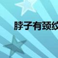 脖子有颈纹怎么办（6个小妙招教给你）