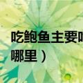 吃鲍鱼主要吃什么部位（鲍鱼日常吃的部位在哪里）