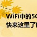 WiFi中的5G和2.4G是什么意思有什么区别（快来这里了解下）