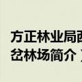 方正林业局西南岔林场（关于方正林业局西南岔林场简介）