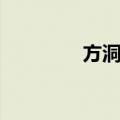 方洞村（关于方洞村简介）