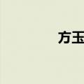 方玉友（关于方玉友简介）