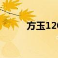 方玉1201（关于方玉1201简介）