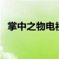 掌中之物电视剧在哪看（大家不妨去看看）