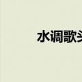 水调歌头王菲歌词（该歌词出处）