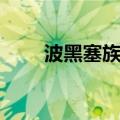 波黑塞族共和国面积（人口有多少）