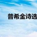 普希金诗选介绍（普希金诗选介绍说明）