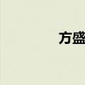 方盛举（关于方盛举简介）