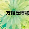 方相氏博物馆（关于方相氏博物馆简介）