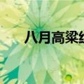 八月高粱红拍摄地（电视剧内容介绍）