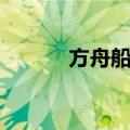 方舟船票（关于方舟船票简介）