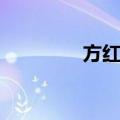 方红雨（关于方红雨简介）