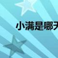 小满是哪天（2020年小满是5月20日）