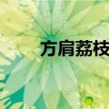 方肩荔枝蝽（关于方肩荔枝蝽简介）