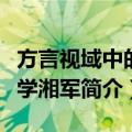 方言视域中的文学湘军（关于方言视域中的文学湘军简介）